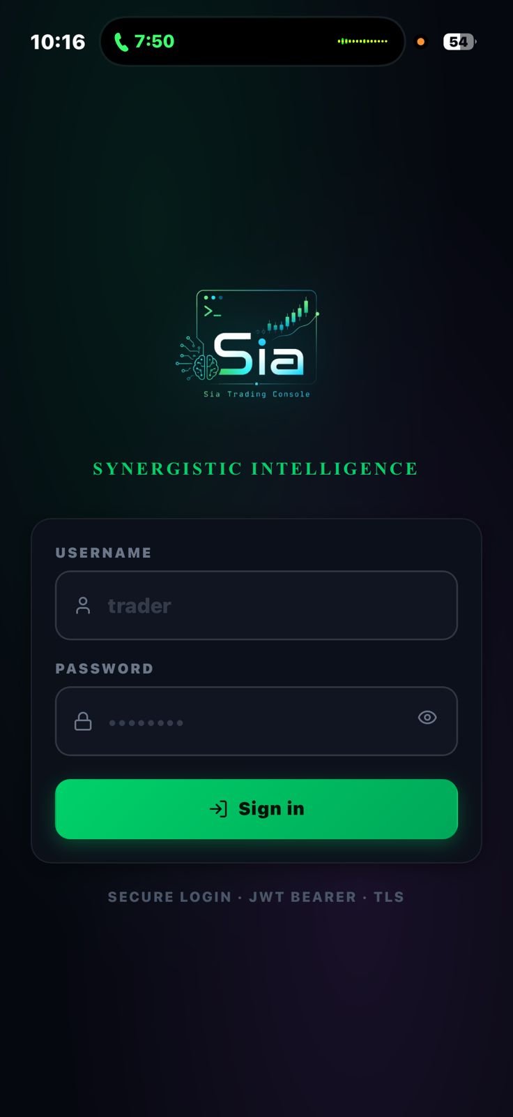 screen preview